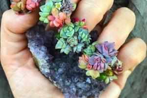 Manicura con plantas Manicura con plantas